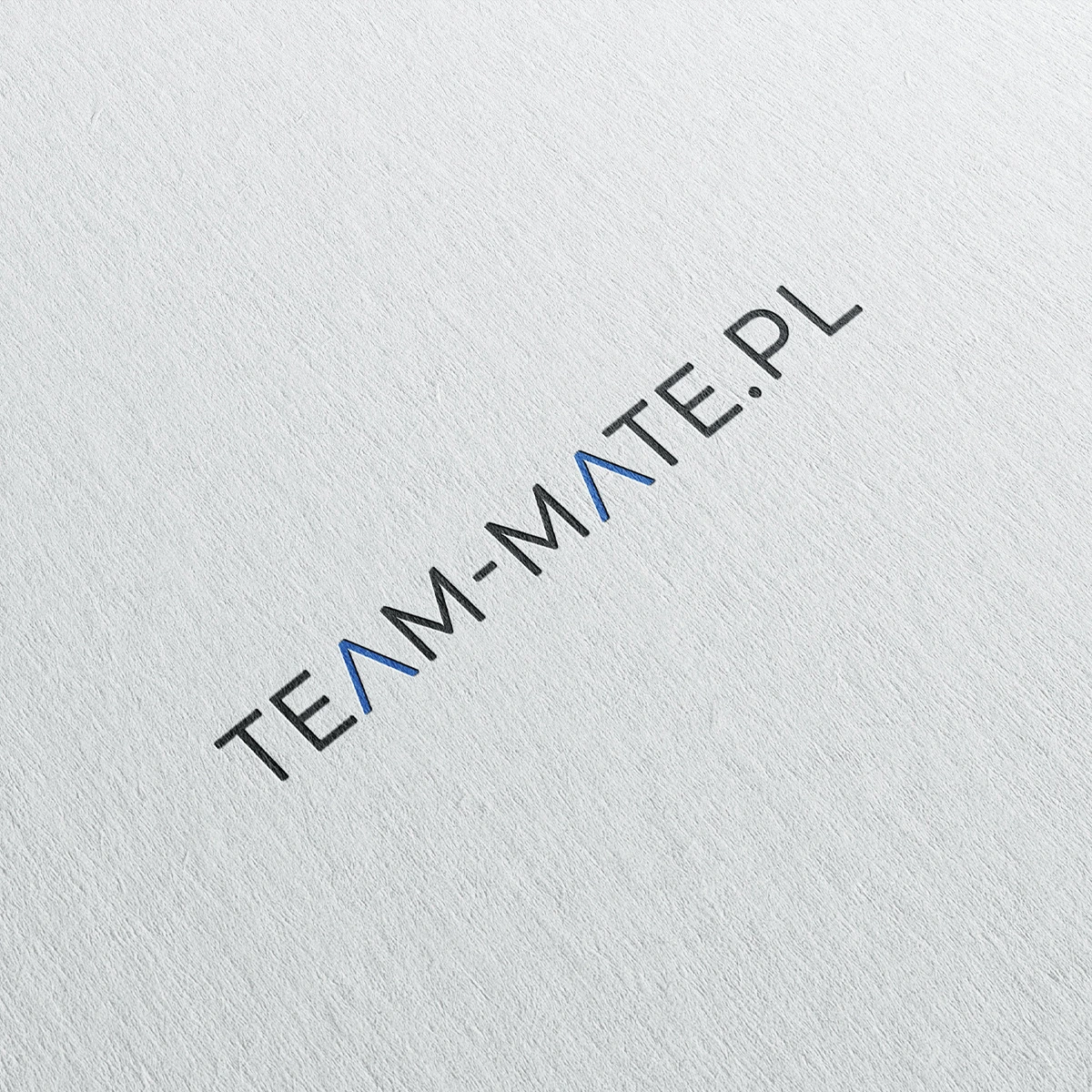 Logo Team-Mate